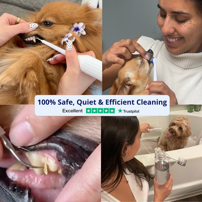 Anesthesia-Free Silent Sonic Dental System