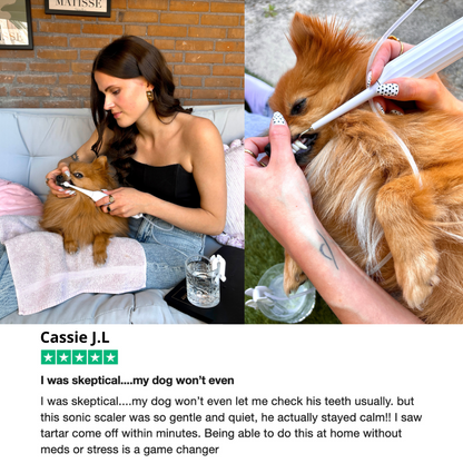 Anesthesia-Free Silent Sonic Dental System