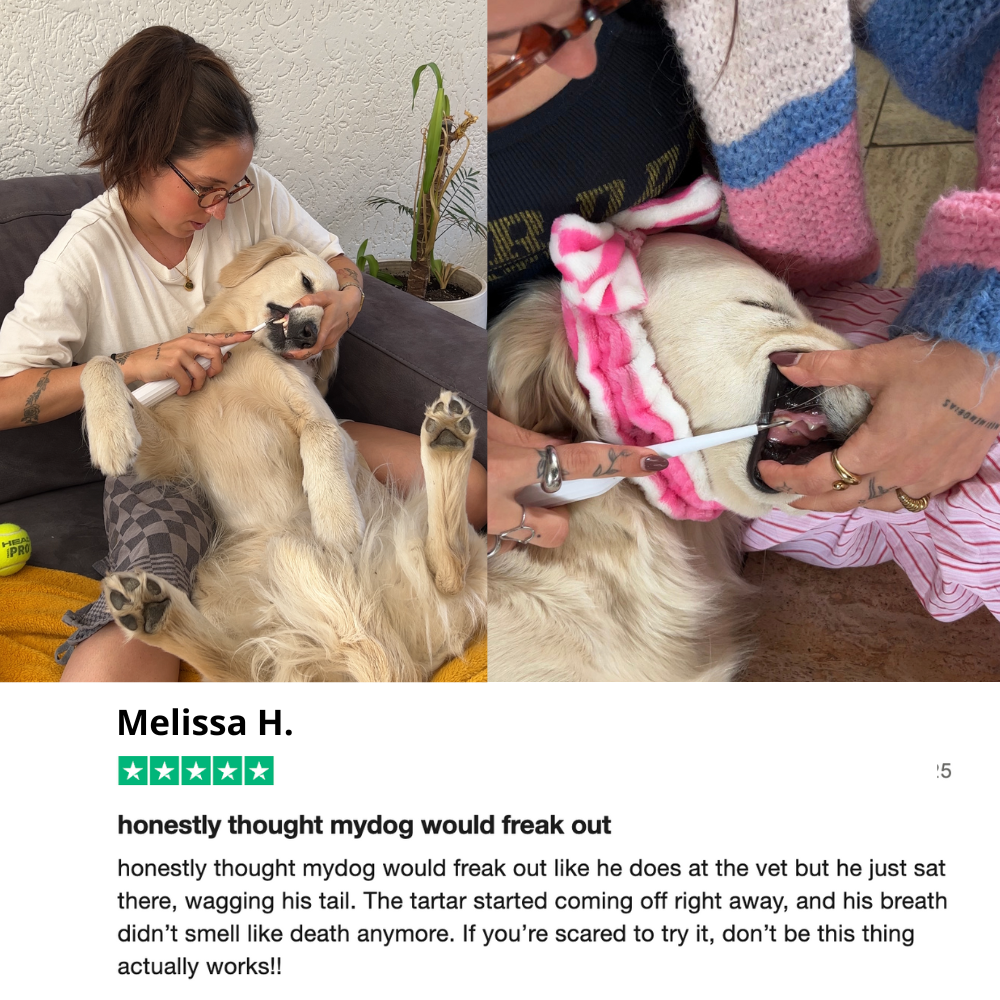 Anesthesia-Free Silent Sonic Dental System