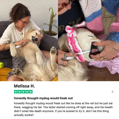 Anesthesia-Free Silent Sonic Dental System