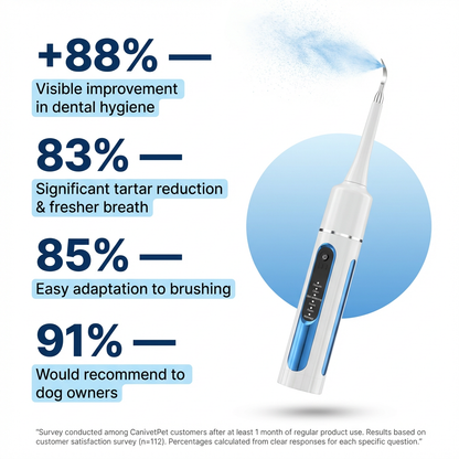 Anesthesia-Free Silent Sonic Dental System